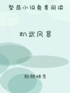 机武风暴