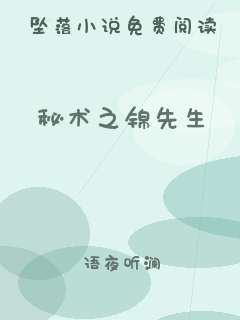 秘术之锦先生