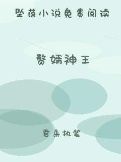 赘婿神王