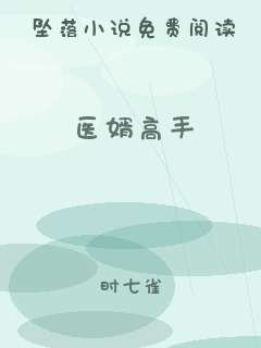医婿高手