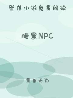 腹黑NPC