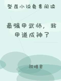 最强甲武师，我甲道成神了