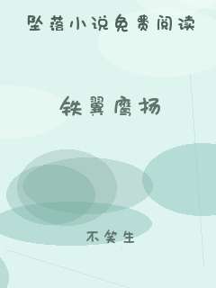 铁翼鹰扬