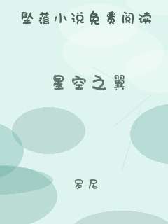 星空之翼