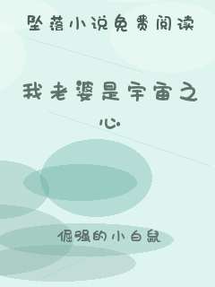 我老婆是宇宙之心