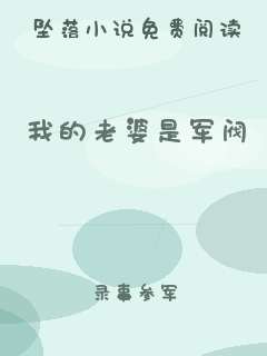 我的老婆是军阀