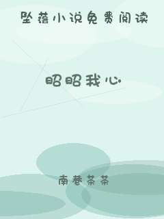 昭昭我心