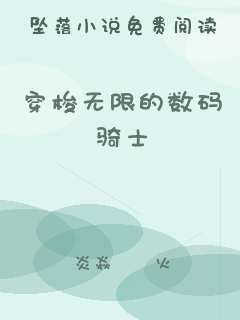 穿梭无限的数码骑士
